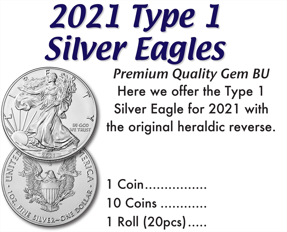 2021 Silver Eagle Type 1 | SKYLINE